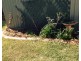 45 Brushbox Avenue Street, Medowie NSW 2318