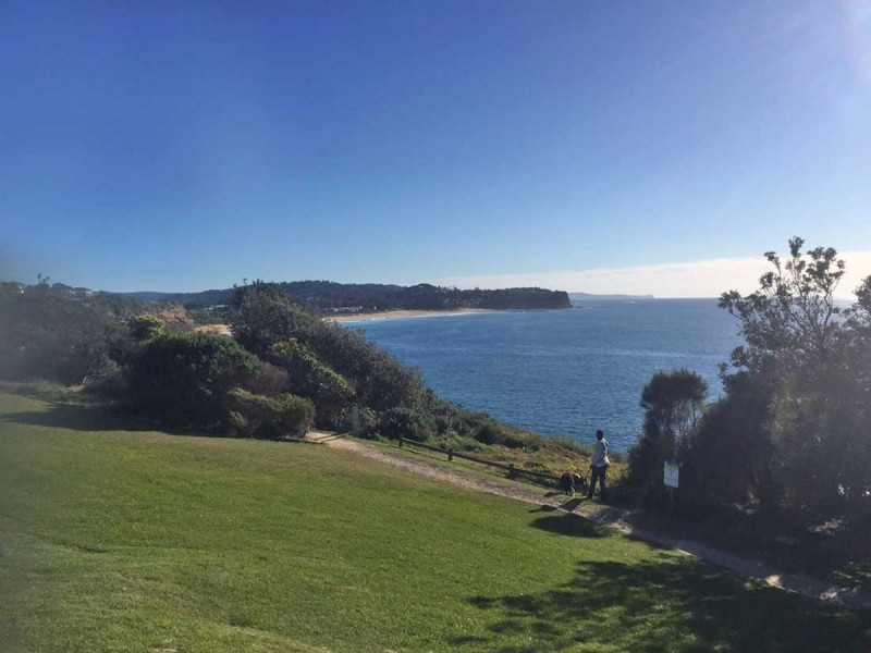 31 Arnott Crescent, Warriewood NSW 2102