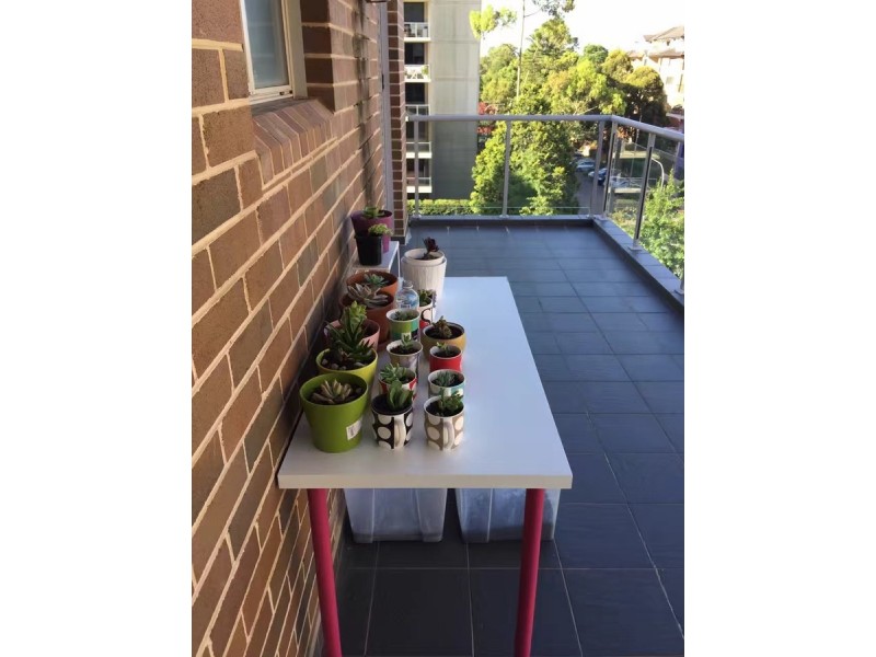 302/25-31 Orara Street, Waitara NSW 2077