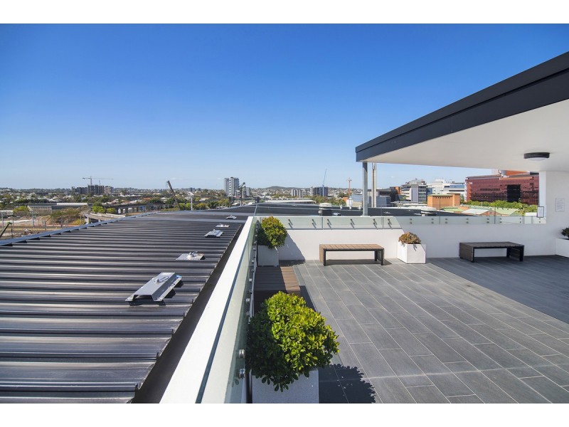 5/31 Peter Doherty Street, Dutton Park QLD 4102
