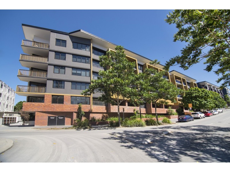 5/31 Peter Doherty Street, Dutton Park QLD 4102