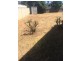 7 Shelley Drive, Paralowie SA 5108