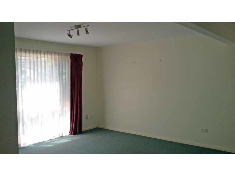 17/8 Lyon Street, Dicky Beach QLD 4551