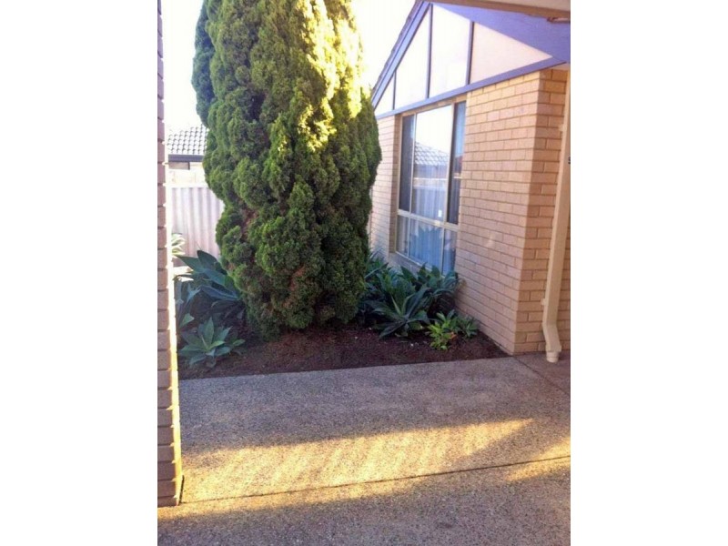 4/61 Tyler Street, Joondanna WA 6060