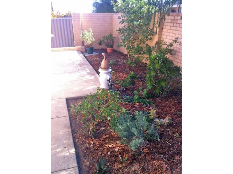 4/61 Tyler Street, Joondanna WA 6060