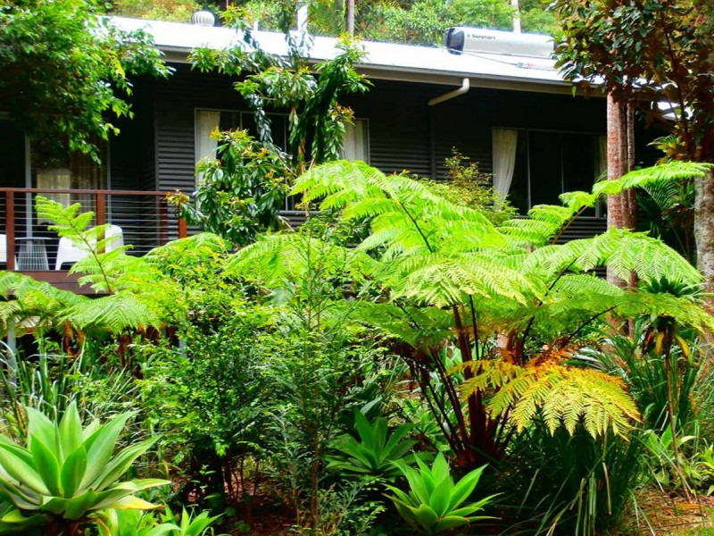 Mullumbimby NSW 2482