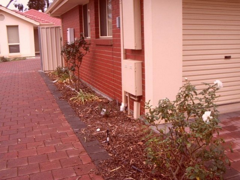 54A Sixth Avenue, Ascot Park SA 5043