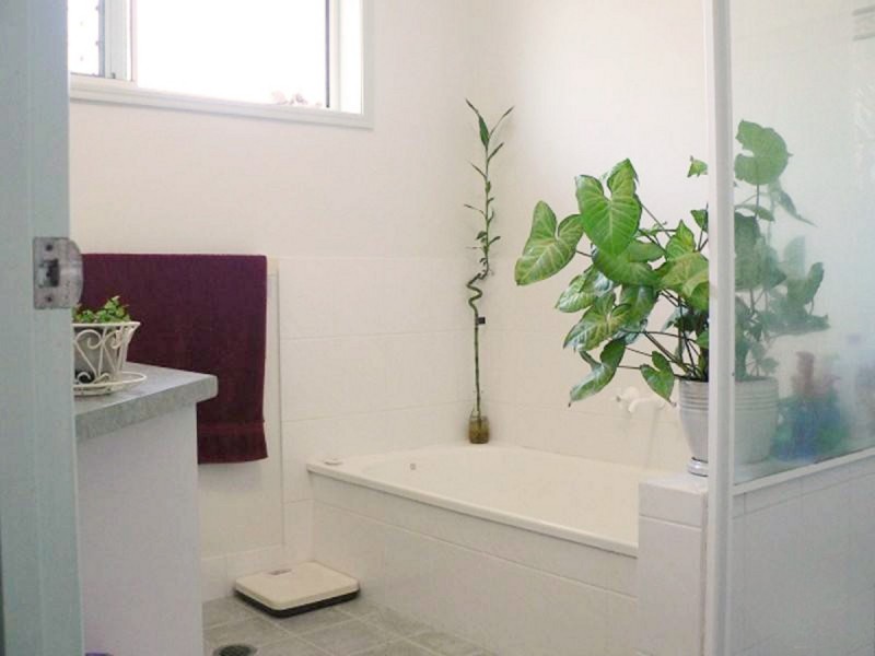 11 Norman Avenue, Maroochydore QLD 4558