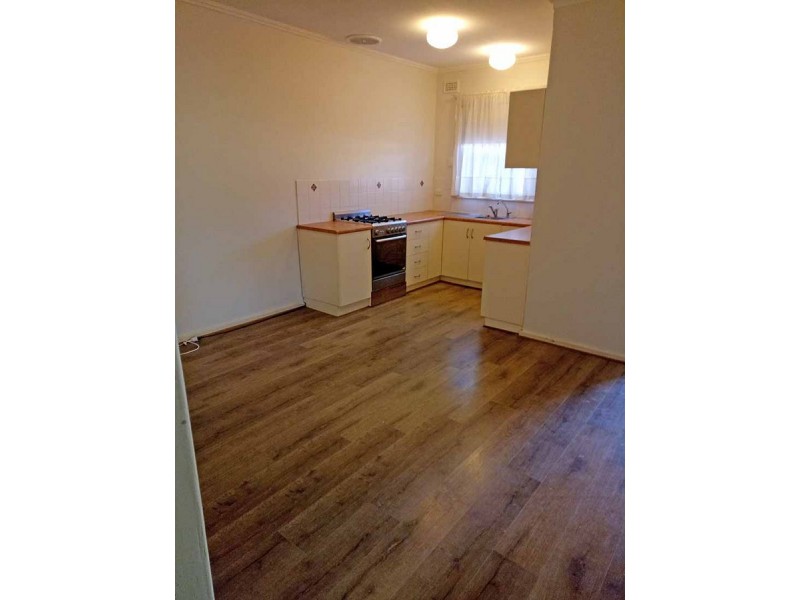 17 McCarthy Avenue, Hectorville SA 5073