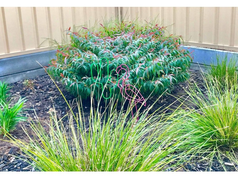 6 Durham Street, Seaford Meadows SA 5169