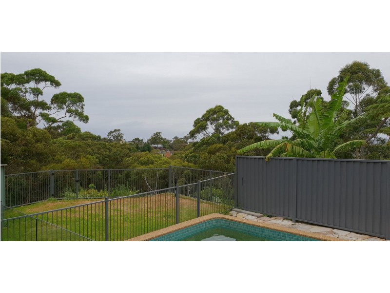49B Mary Street, Beacon Hill NSW 2100