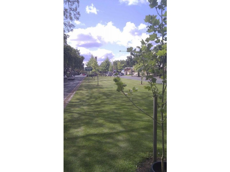 86 Osmond Terrace, Norwood SA 5067