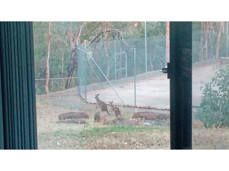 35 Shorts Road, Research VIC 3095