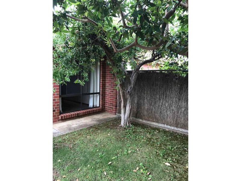 4/8 Chapel Street, Campbelltown SA 5074