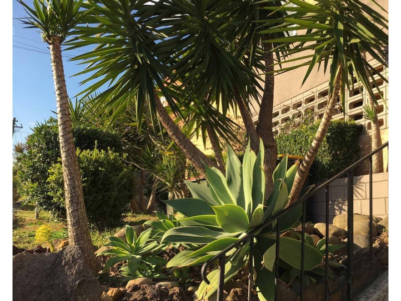 11/63 Bream Street, Coogee NSW 2034