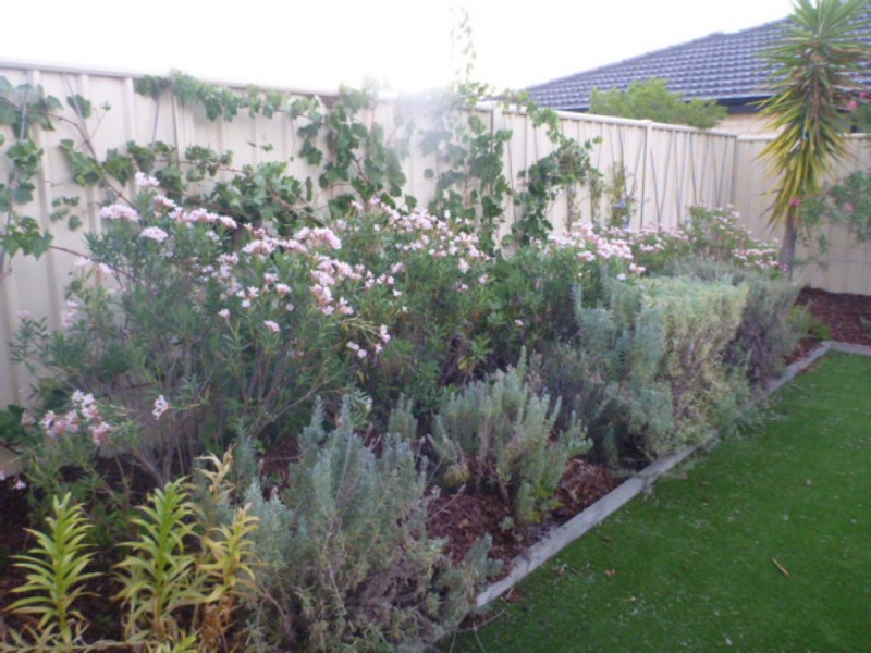 22 Cologne Parkway, Piara Waters WA 6112