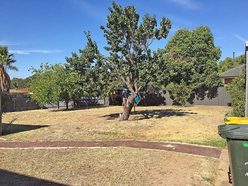 24 Mitchell Avenue, Highbury SA 5089