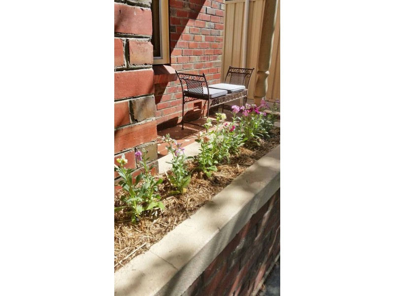 5 Anderson Street, Fulham Gardens SA 5024