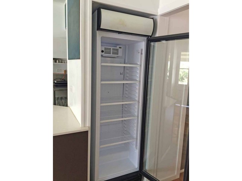 43 Denman Street, Alderley QLD 4051