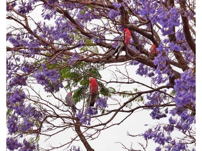 193 Washington Street, Victoria Park WA 6100