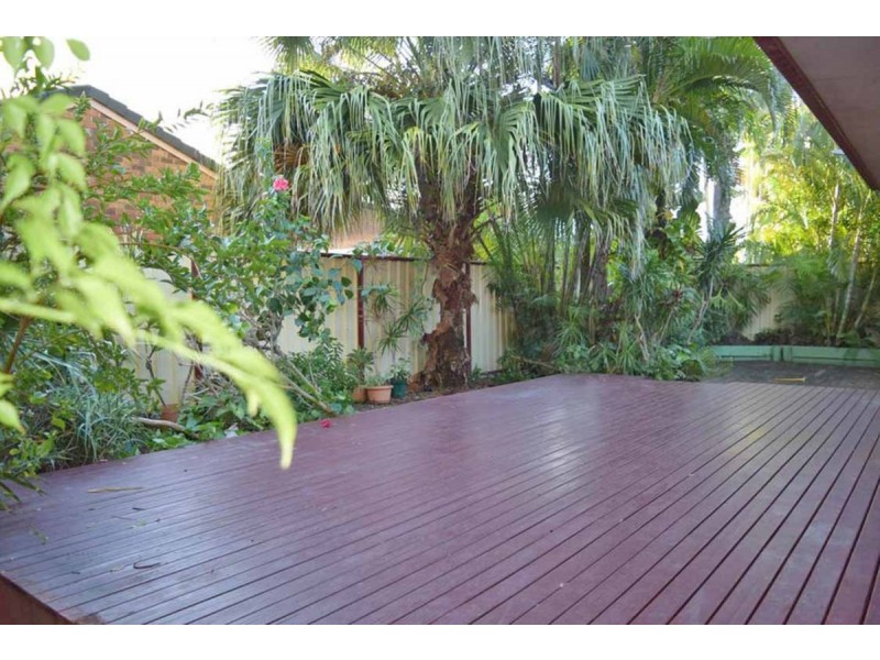 16 Wandarri Street, Wurtulla QLD 4575