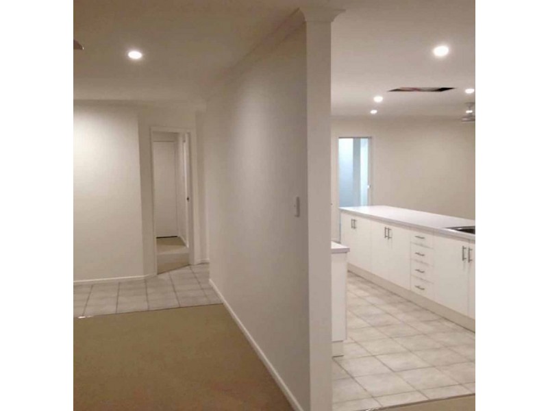 16 Wandarri Street, Wurtulla QLD 4575