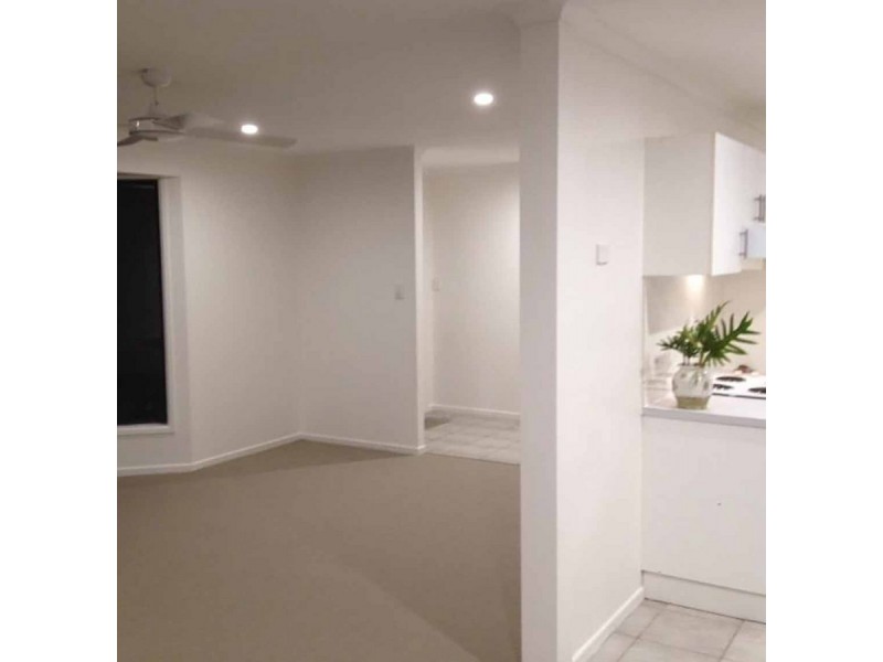 16 Wandarri Street, Wurtulla QLD 4575