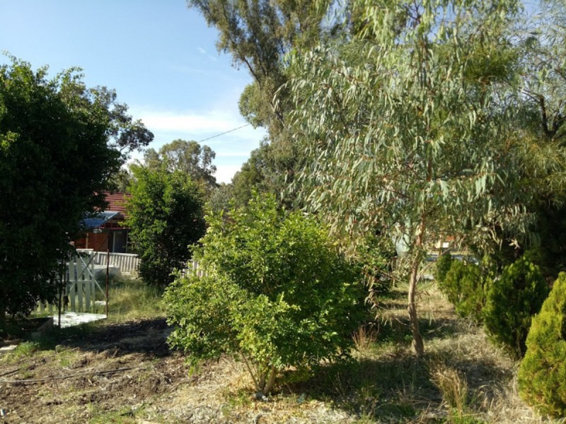 12 Miranda Crescent, Coolbellup WA 6163