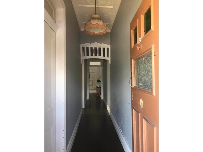 41 Elswick Street, Leichhardt NSW 2040