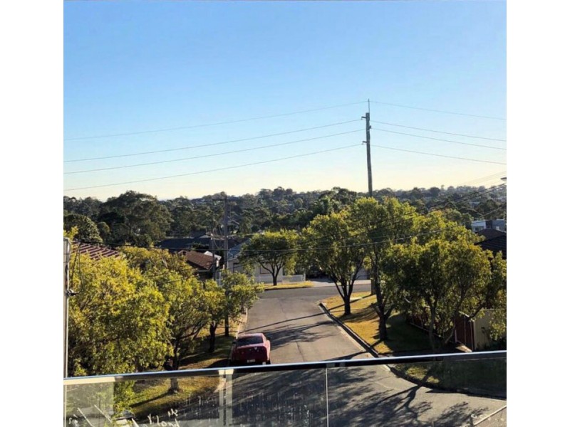 3 Andrew Place, Birrong NSW 2143