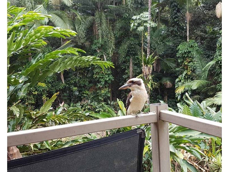 1/7 Gorge Road, Port Douglas QLD 4877