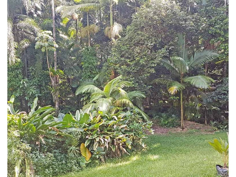 1/7 Gorge Road, Port Douglas QLD 4877