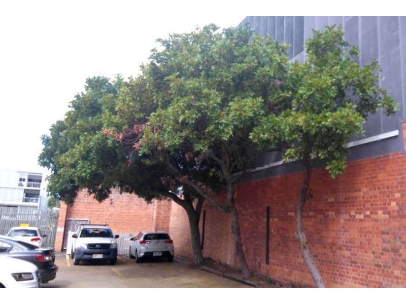 9/913-915 Ann Street, Fortitude Valley QLD 4006