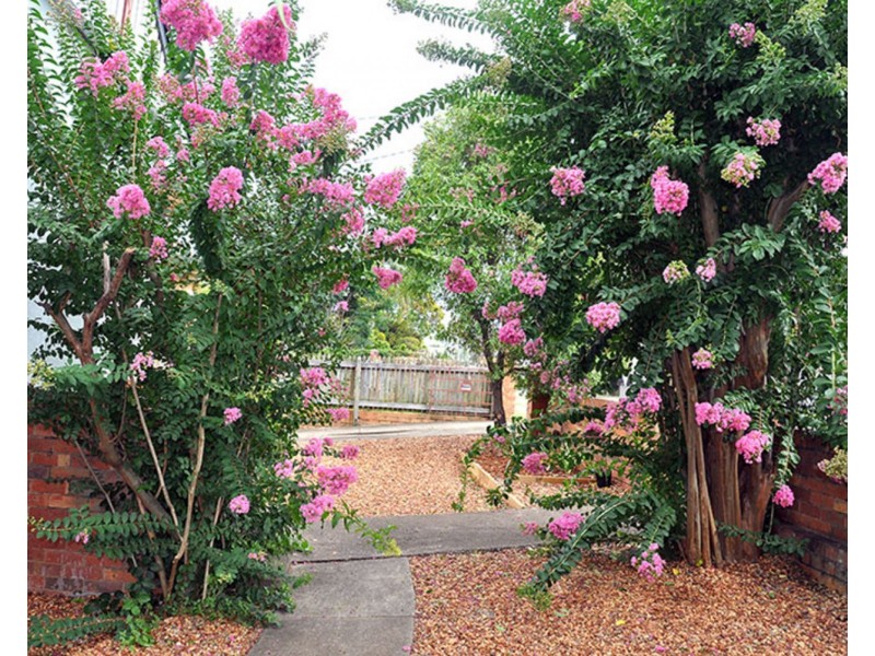 1/289 Annerley Road, Annerley QLD 4103