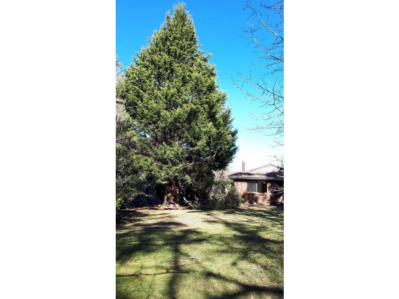 121 Waratah Road, Wentworth Falls NSW 2782