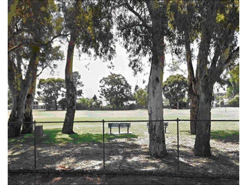 16 Andrew Street, Beulah Park SA 5067