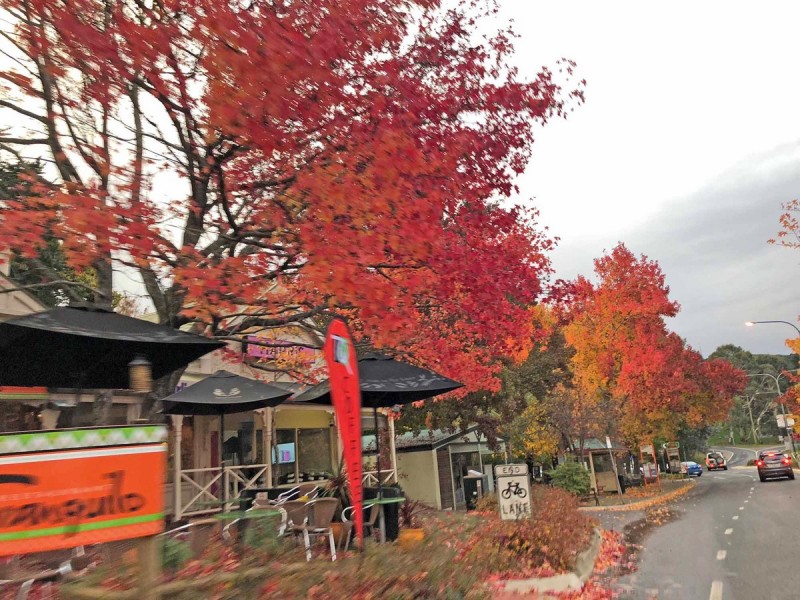 5 Bradshaw Avenue, Crafers SA 5152