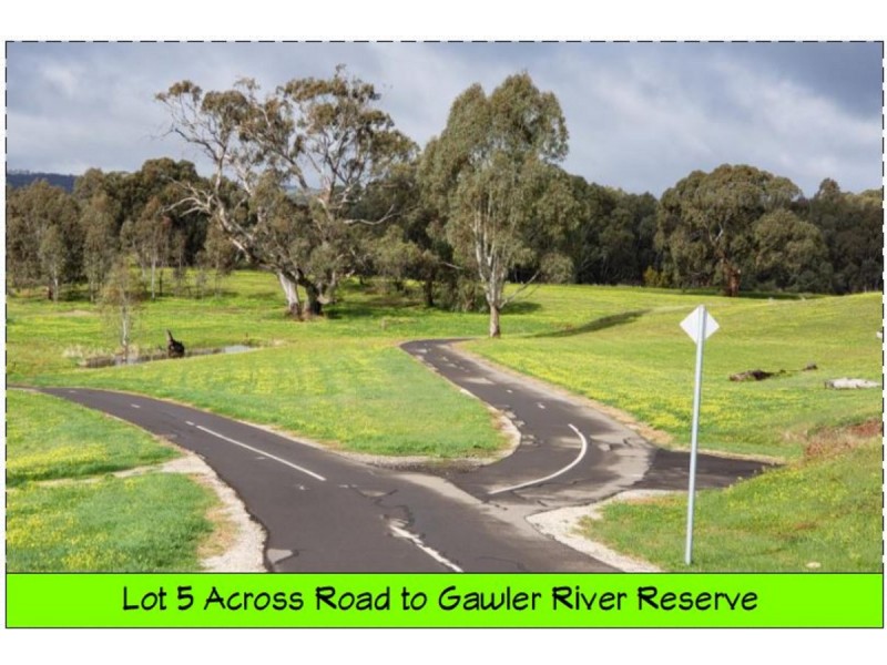 43 Chignell Circuit, Reid SA 5118