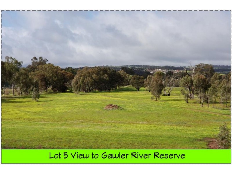 43 Chignell Circuit, Reid SA 5118