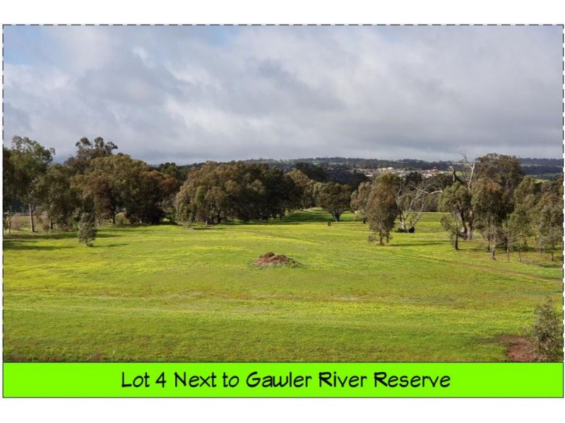 41 Chignell Circuit, Reid SA 5118