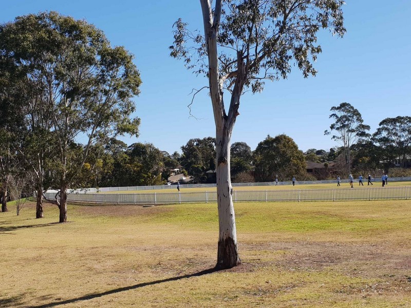 3 Isaac Smith Parade, Kings Langley NSW 2147
