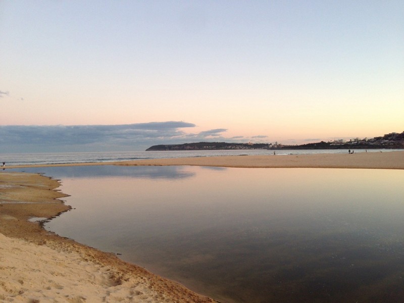 58 Abbott Road, North Curl Curl NSW 2099