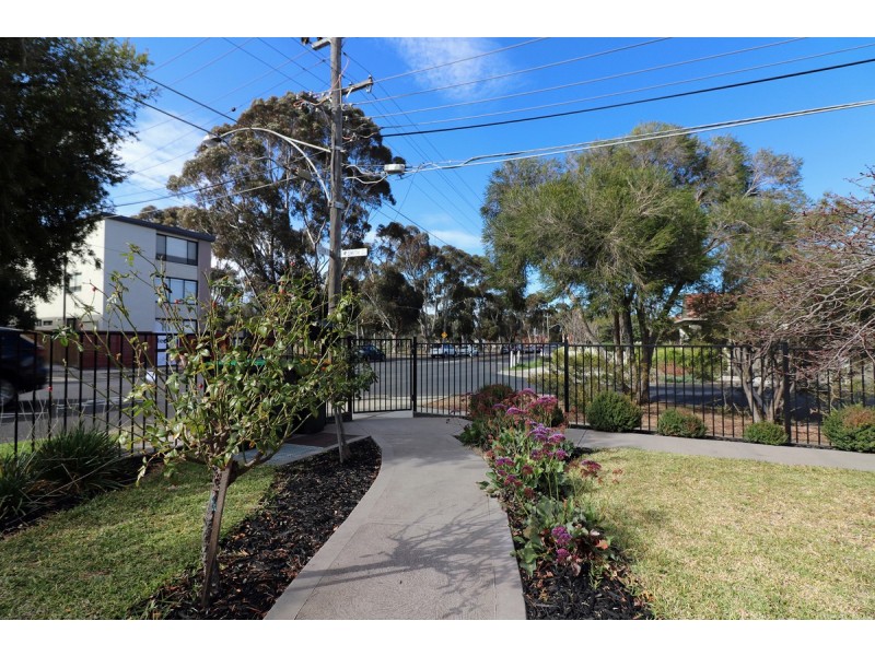 19 Pearson Street, Brunswick VIC 3056