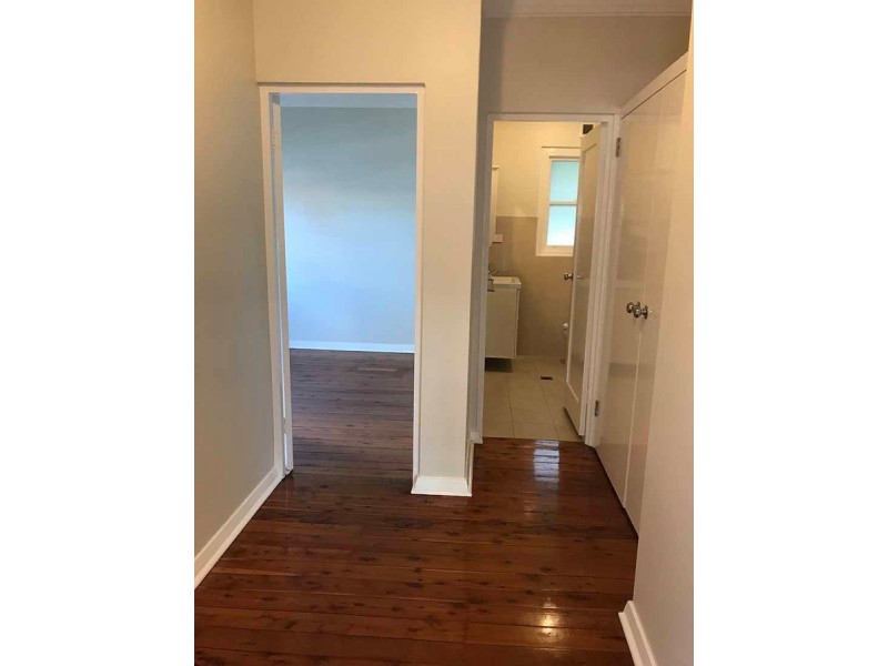 4/523 Darling Street, Balmain NSW 2041