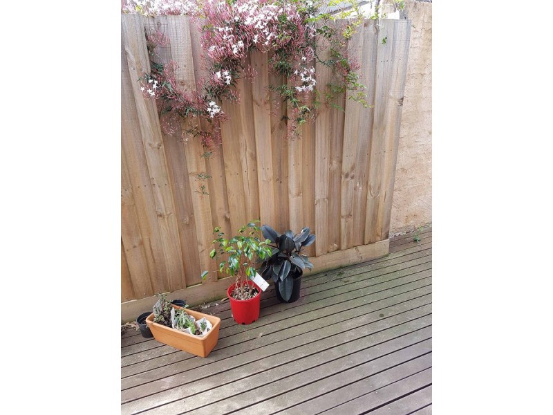 4/1013 Riversdale Road, Surrey Hills VIC 3127