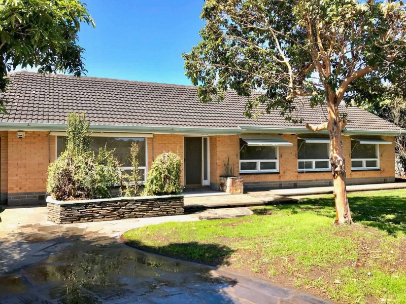 307 Findon Road, Flinders Park SA 5025