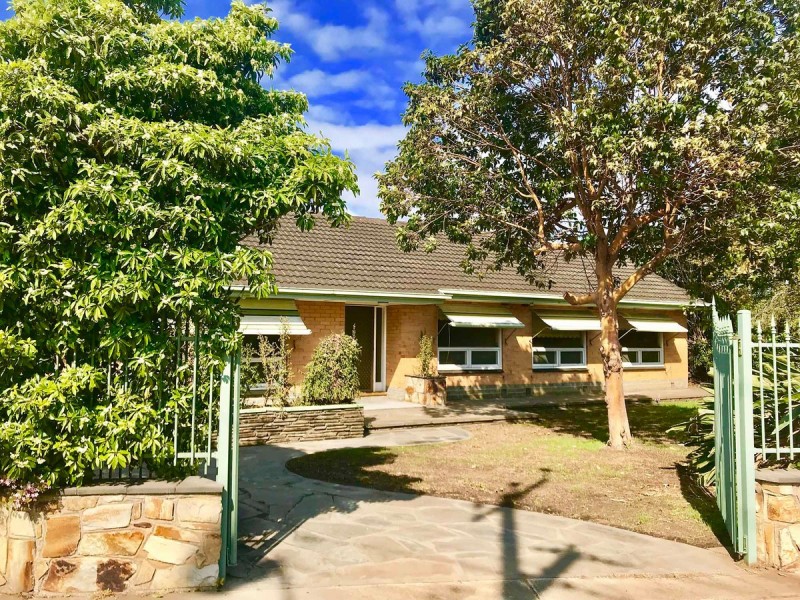 307 Findon Road, Flinders Park SA 5025