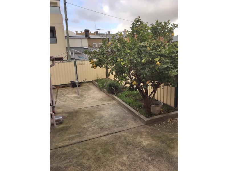 31 Fernbank Street, Marrickville NSW 2204