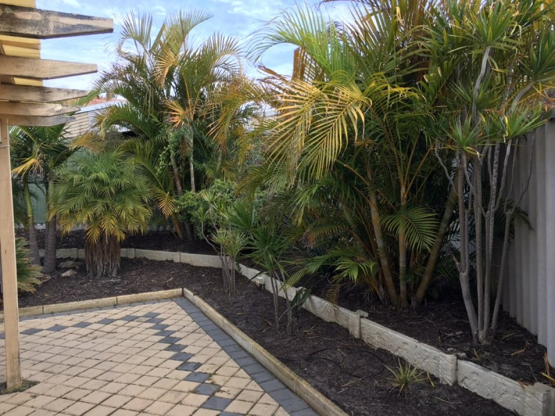 13 Tippett Court, Willetton WA 6155