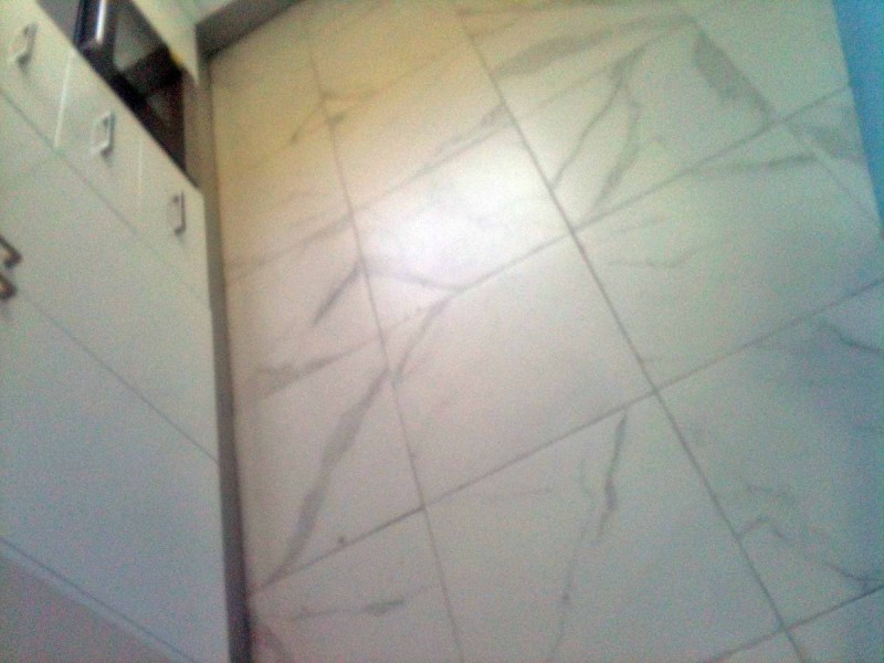 16A Vivienne Avenue, Lakemba NSW 2195